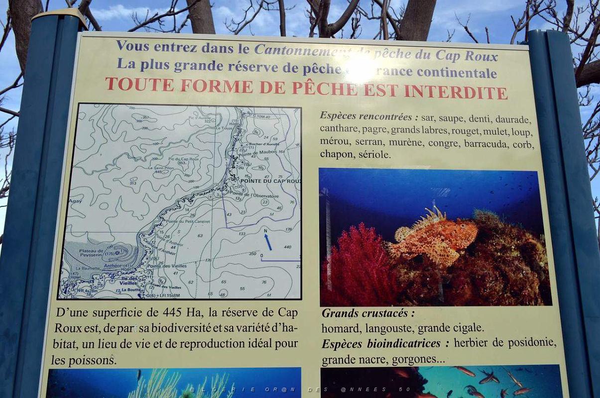 160- de Antheor a Theoule.JPG